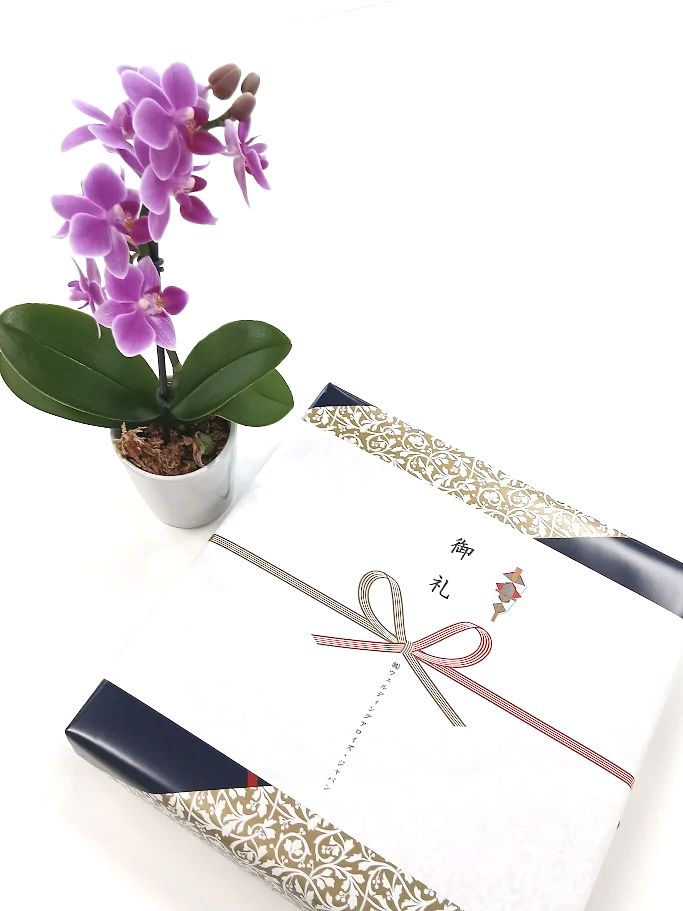 Welding Alloys Japan26周年記念