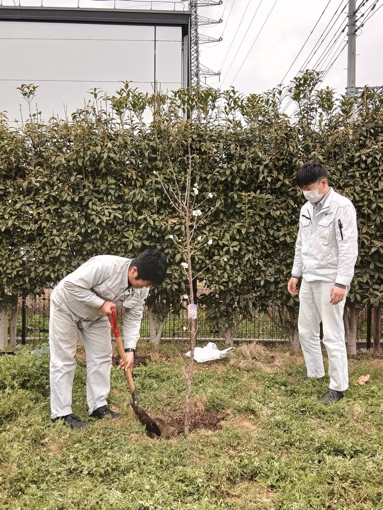 社内お花見を開催しました ウェルディングアロイズ・ジャパン